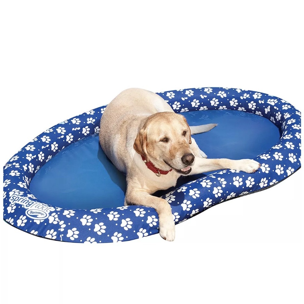 Swimways Spring Pool Float For Dogs - Large (65 lbs and Up) - Picture 3 of 7